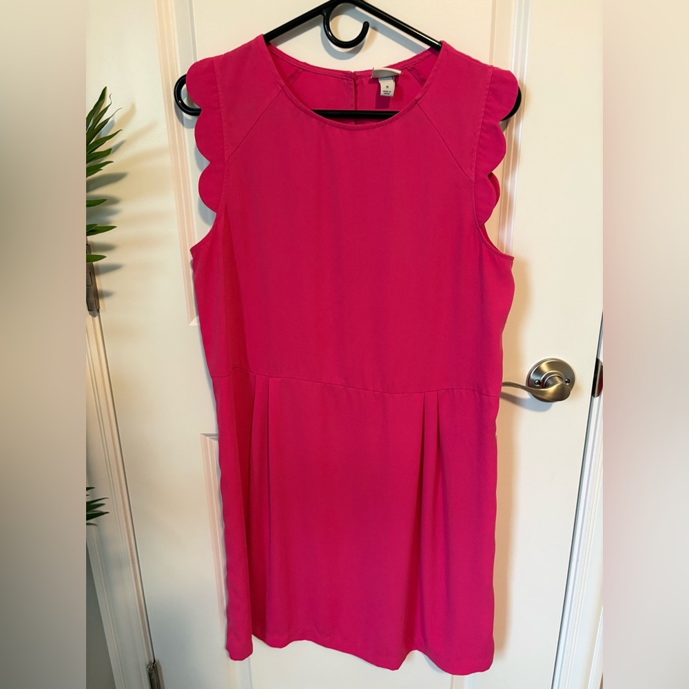 a new day Vibrant Pink Scallop Sleeve Mini Dress